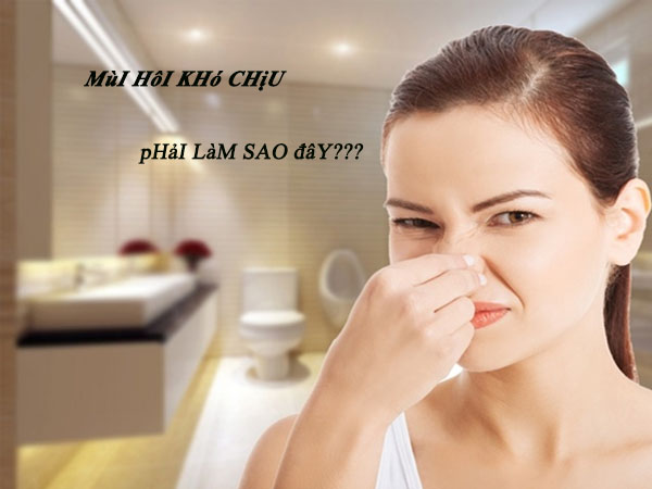 Thông bồn tiểu nam quận 3 Hữu Nghĩa uy tín, giá rẻ tại nhà